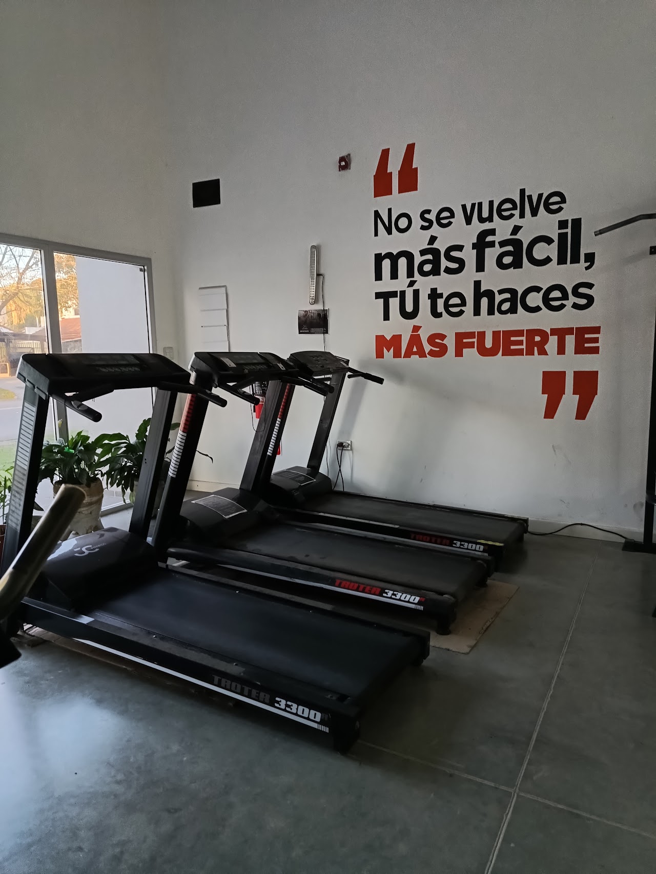 Sector de cardio y pista de entrenamiento funcional